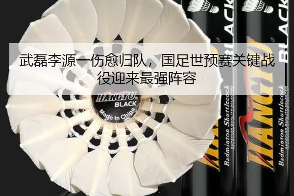 武磊李源一伤愈归队，国足世预赛关键战役迎来最强阵容