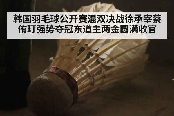 韩国羽毛球公开赛混双决战徐承宰蔡侑玎强势夺冠东道主两金圆满收官